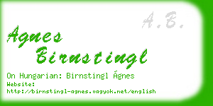 agnes birnstingl business card