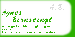 agnes birnstingl business card